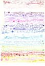 AdSketches_019